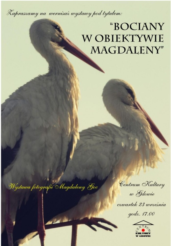Wystawa `Bociany w obiektywie Magdaleny`