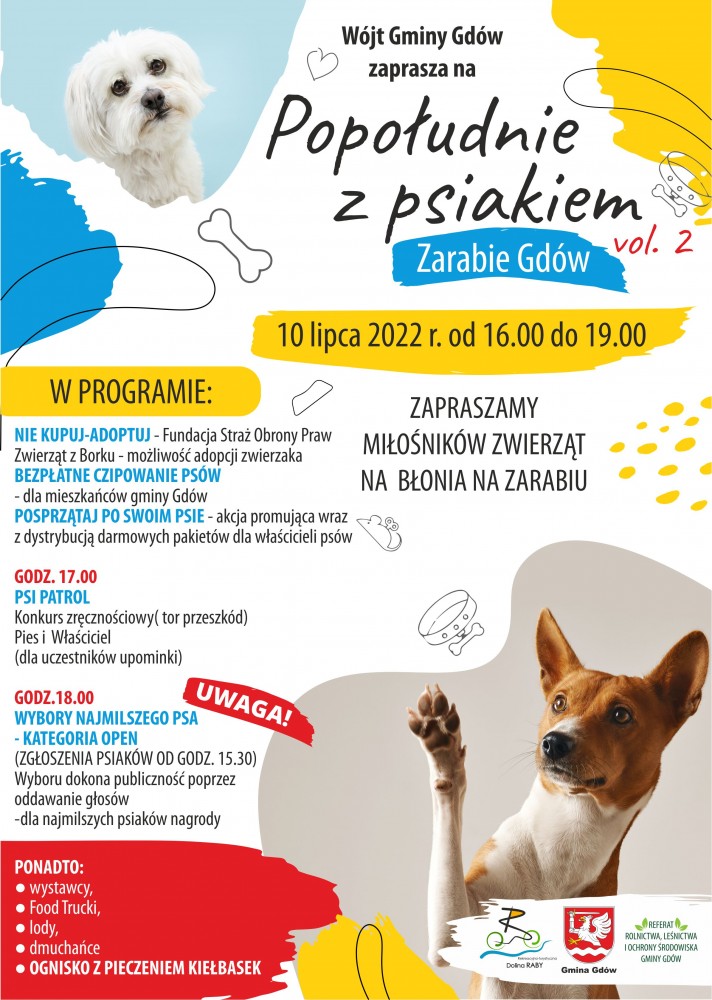 Popołudnie z psiakiem
